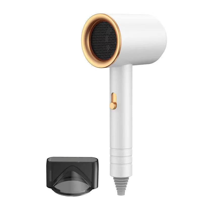 ROFAELEC High-Speed Electric Hair Dryer