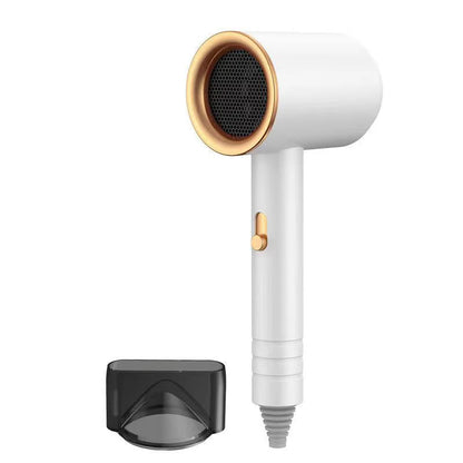 ROFAELEC High-Speed Electric Hair Dryer